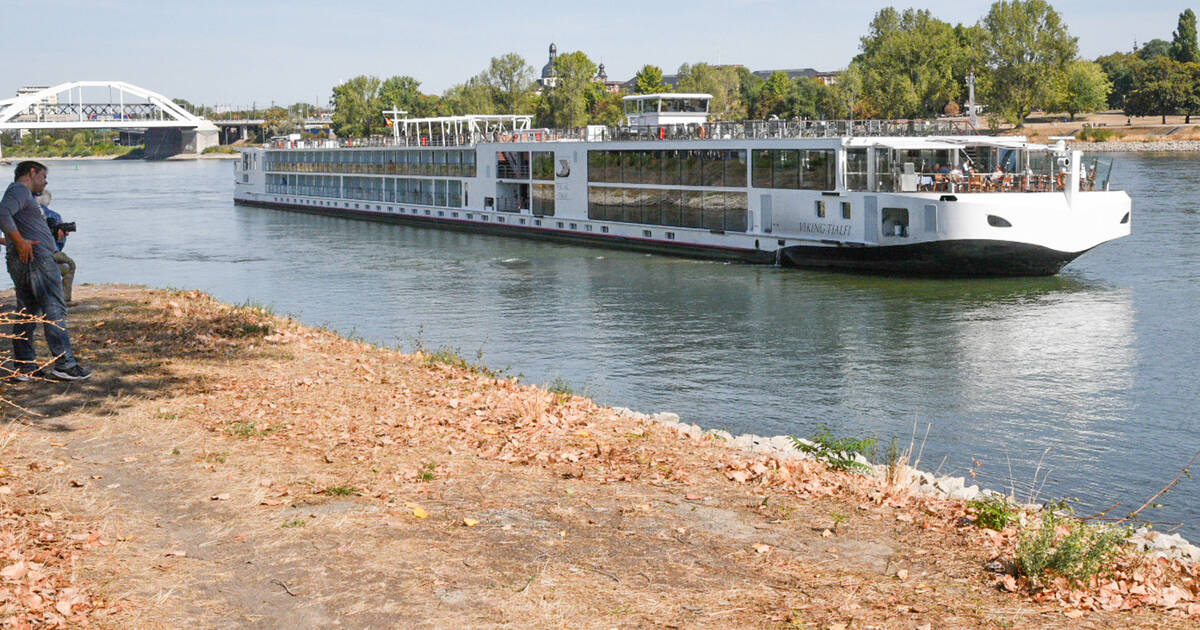 Rhein Neckar Nachrichten Rhein Neckar Nachrichten