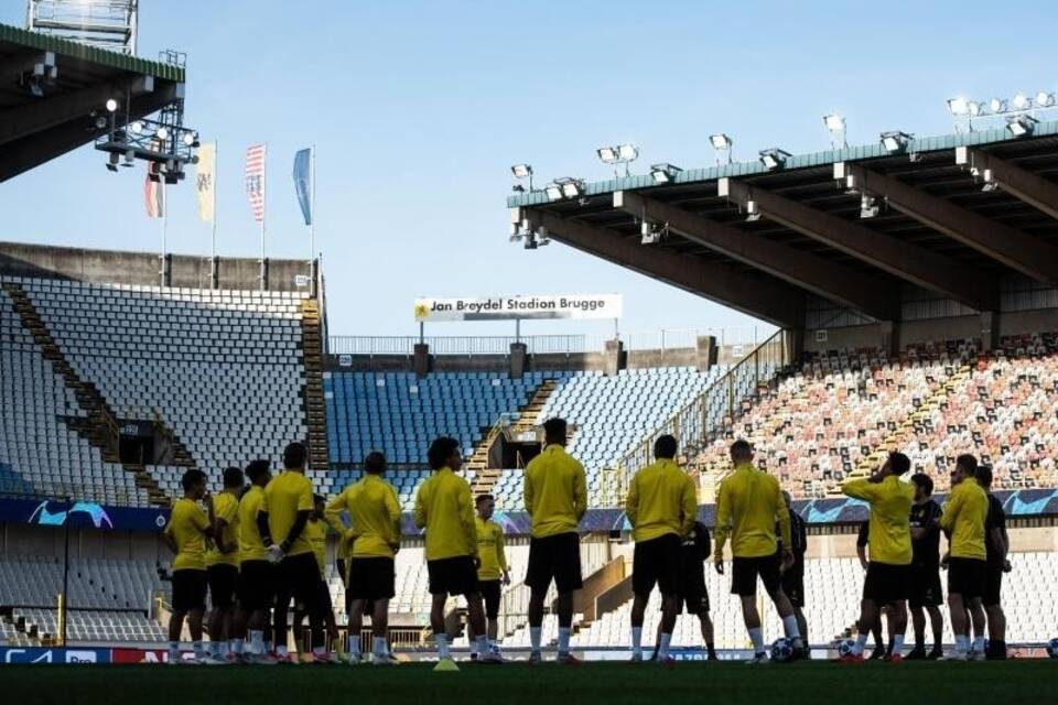 BVB-Training