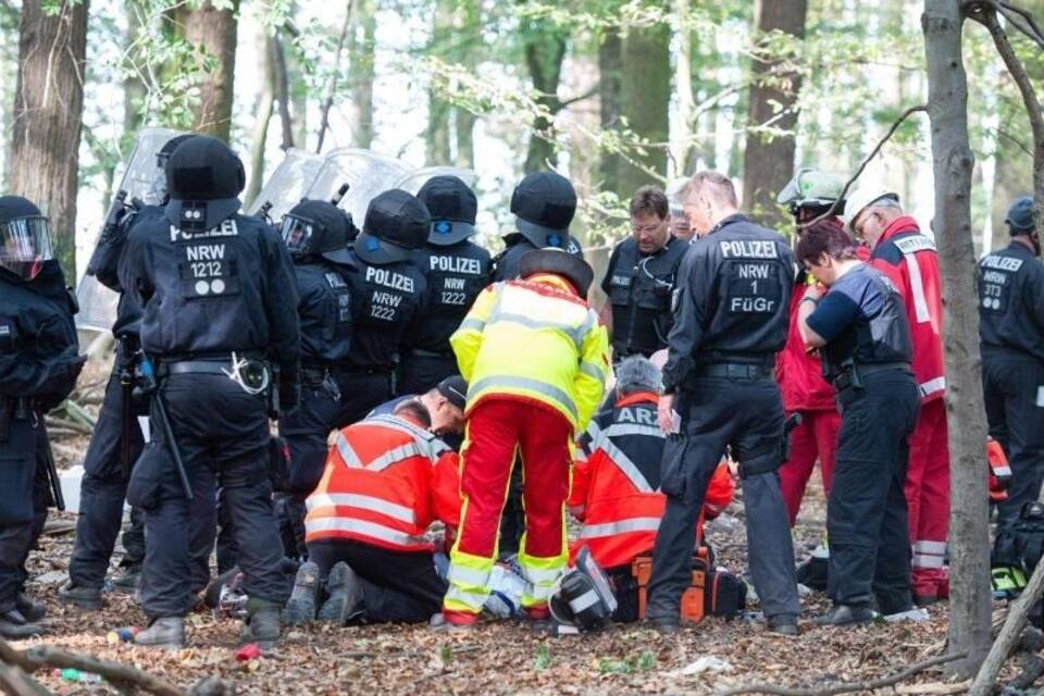 Hambacher Forst