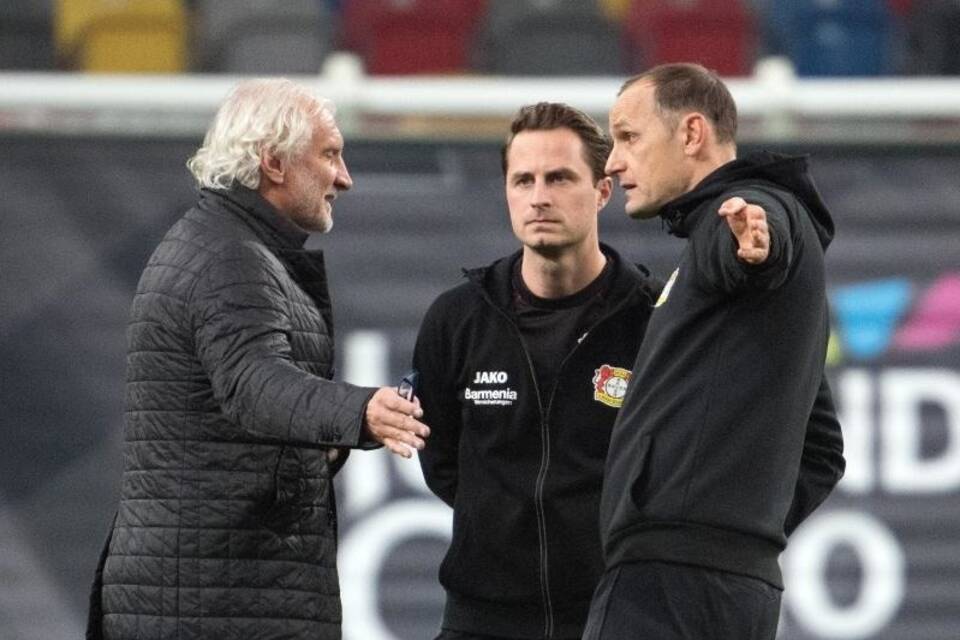 Bayer-Führung Bayer-Führung