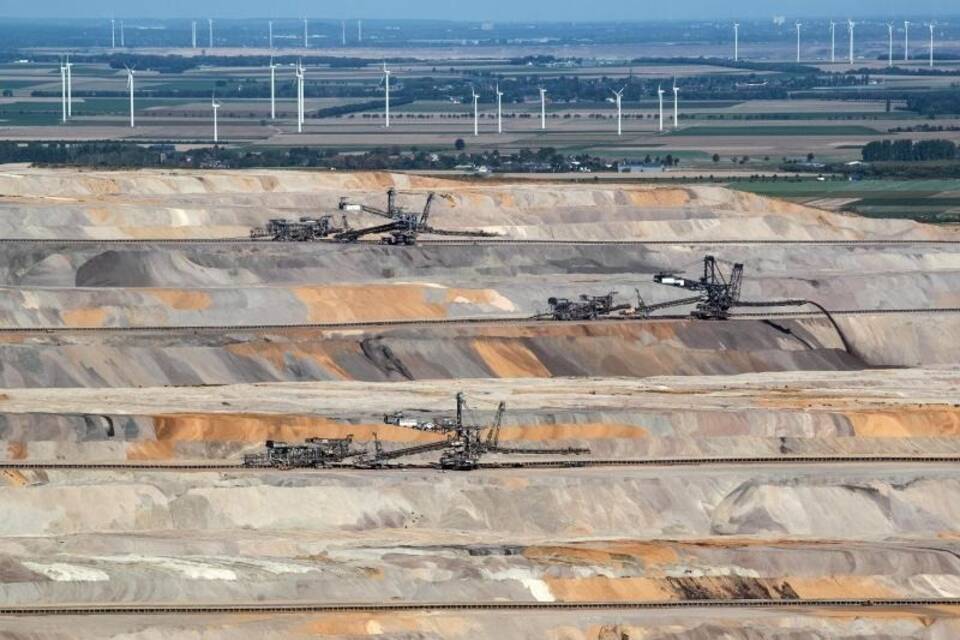 Hambacher Forst