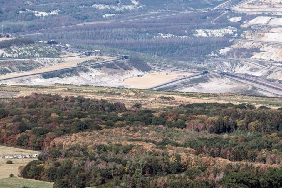 Hambacher Forst