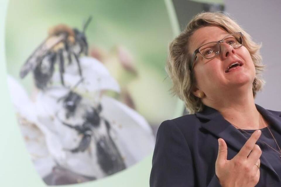 Svenja Schulze Svenja Schulze
