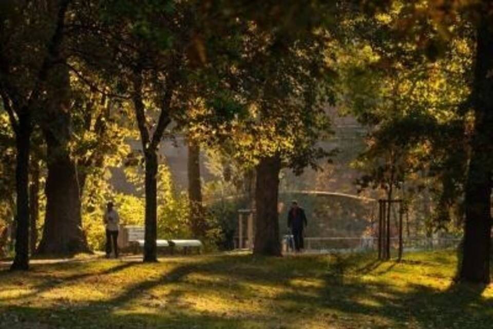 Goldener Herbst Goldener Herbst