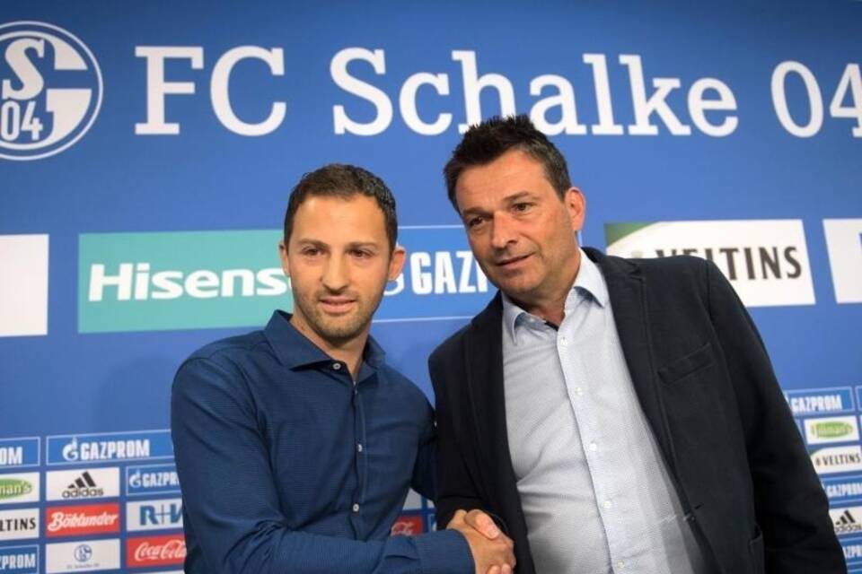 Schalke-Gespann