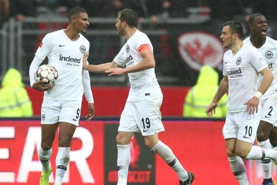 Haller Haller