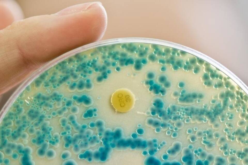 Antibiotikaresistente Keime Antibiotikaresistente Keime