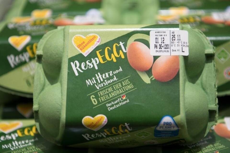 Eier aus neuer Methode gegen Kükentöten Eier aus neuer Methode gegen Kükentöten