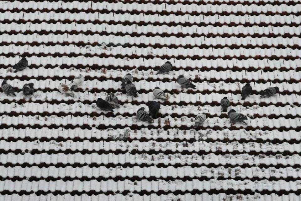 Schnee auf dem Dach