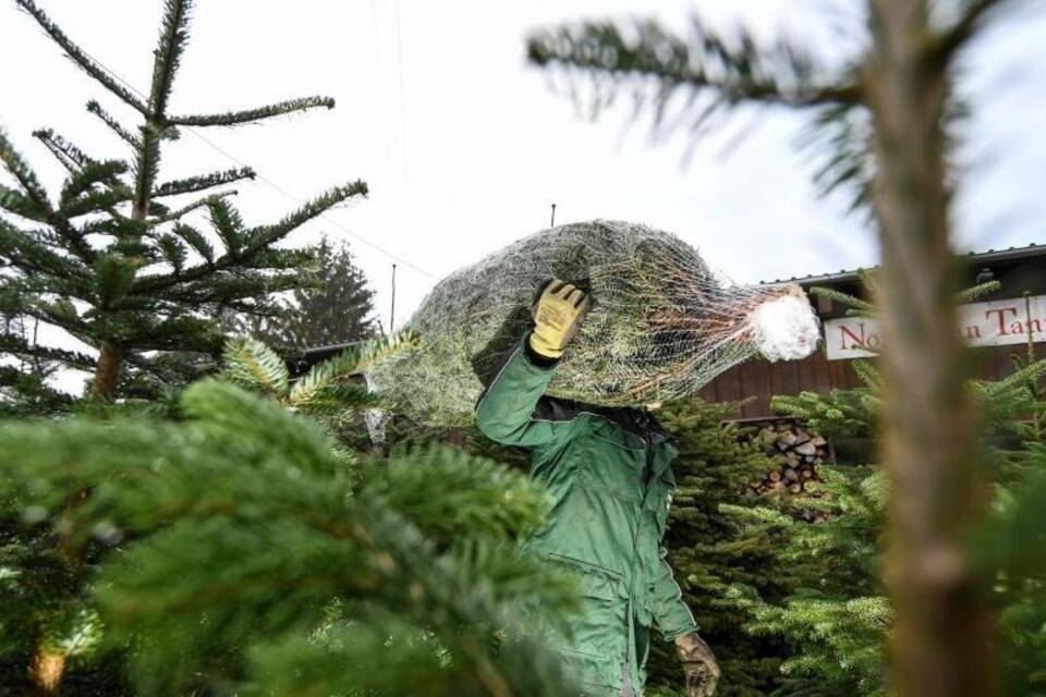 Weihnachtsbaumverkauf