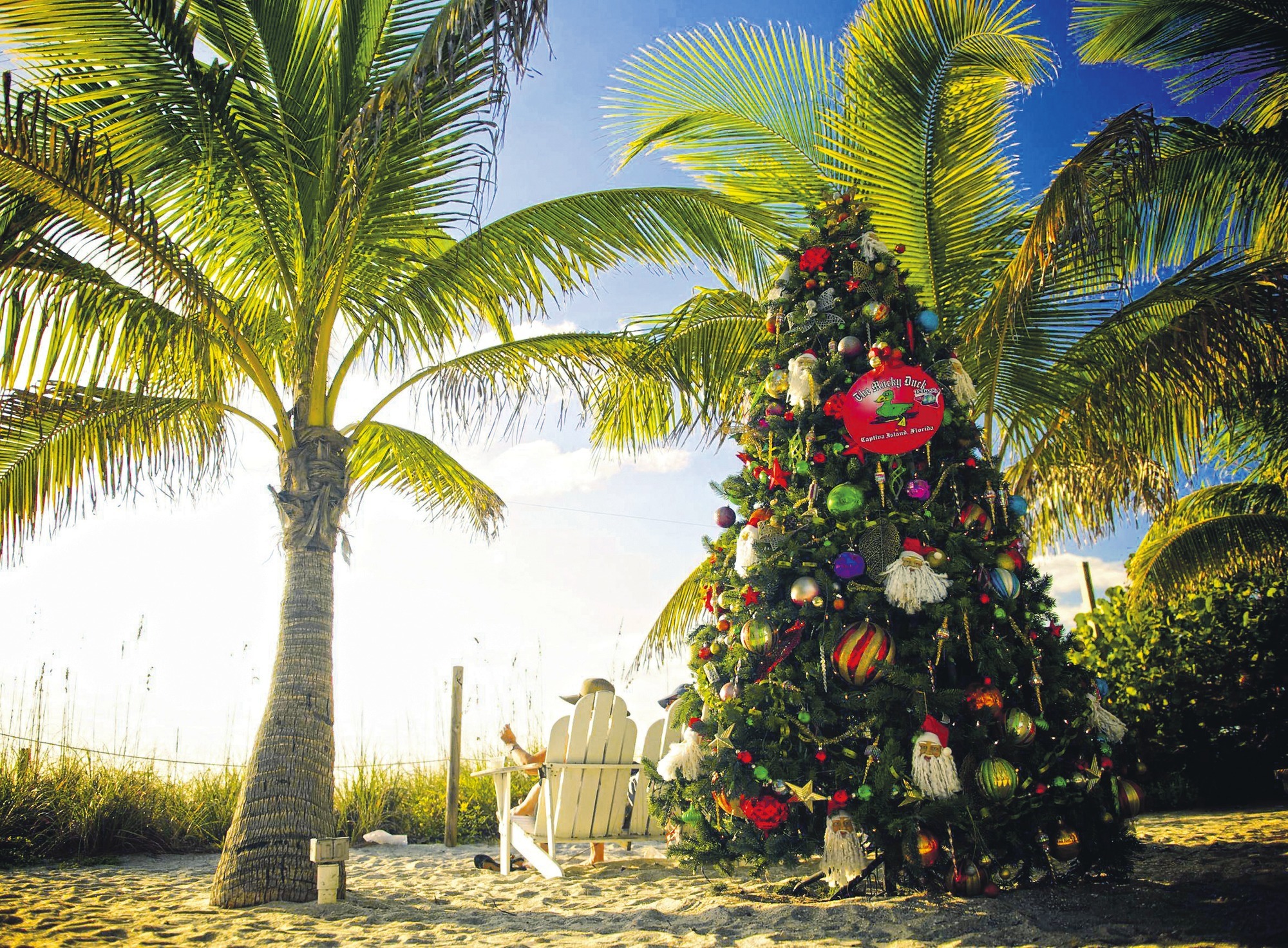 Frohes Fest unter Palmen in Florida: Sandstrand und Cocktail statt 