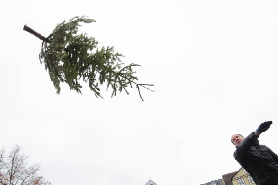 Tannenbaum-Weitwurf Tannenbaum-Weitwurf