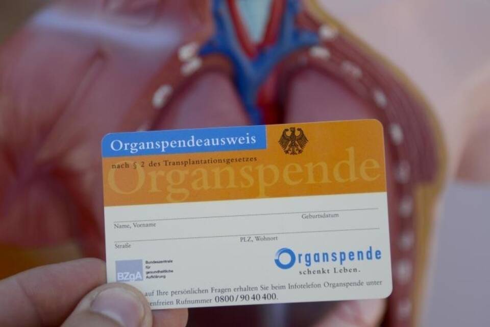 Organspende Organspende