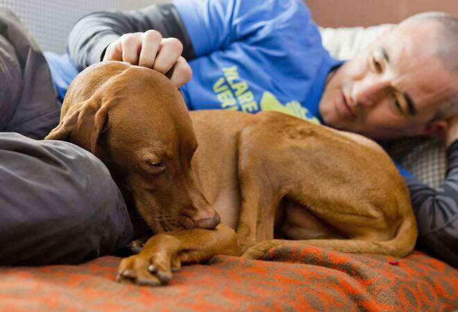Menschen mit hund kennenlernen