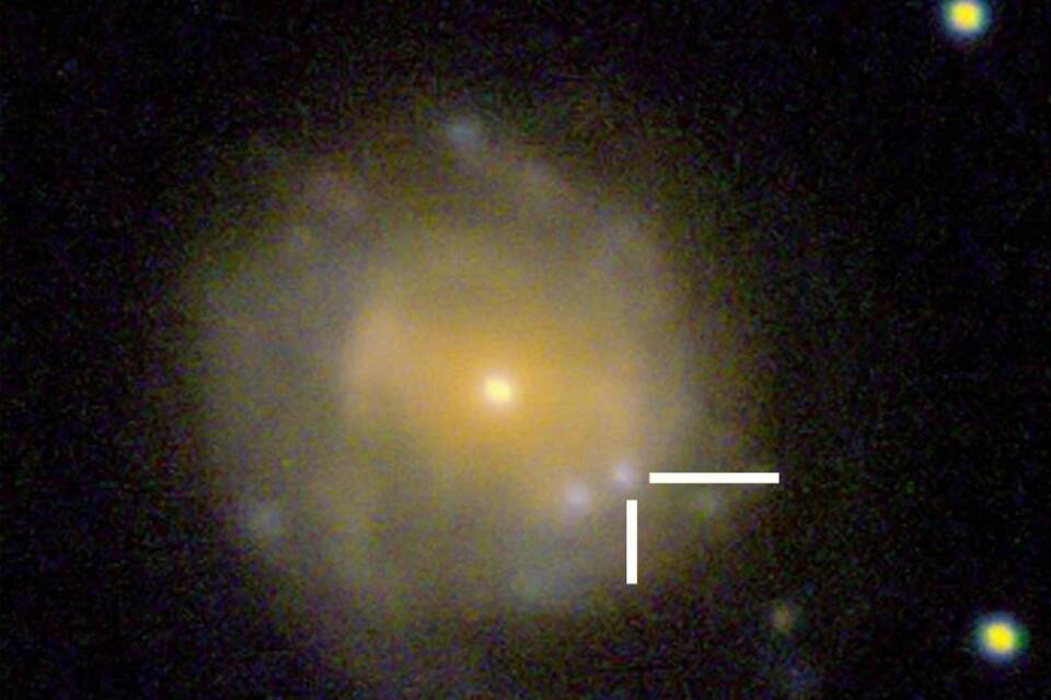 Supernova oder Sternentod? Supernova oder Sternentod?