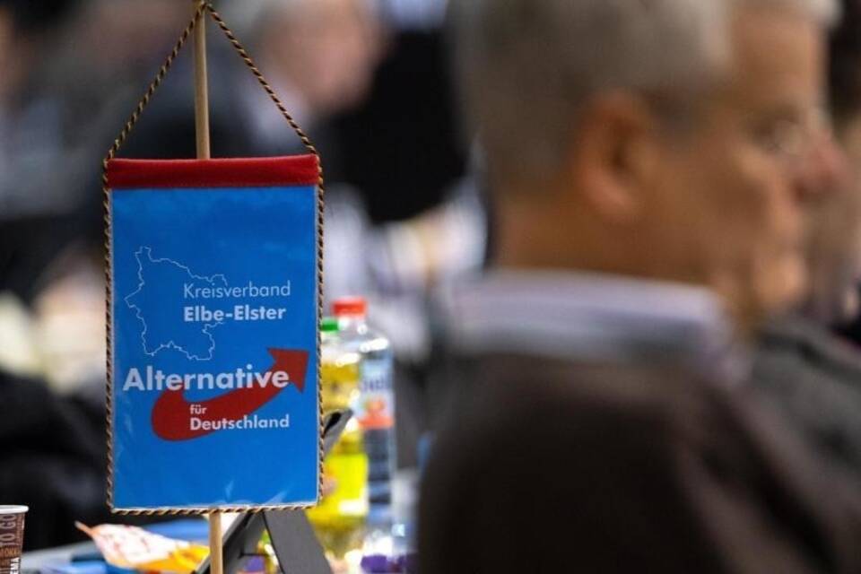 AfD-Europaversammlung