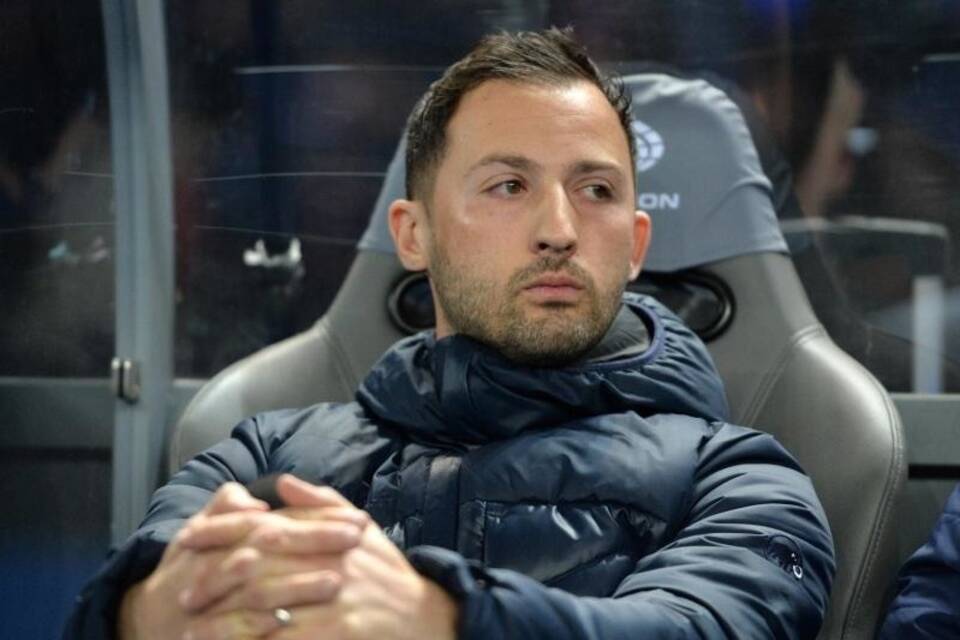 Schalke-Coach Schalke-Coach