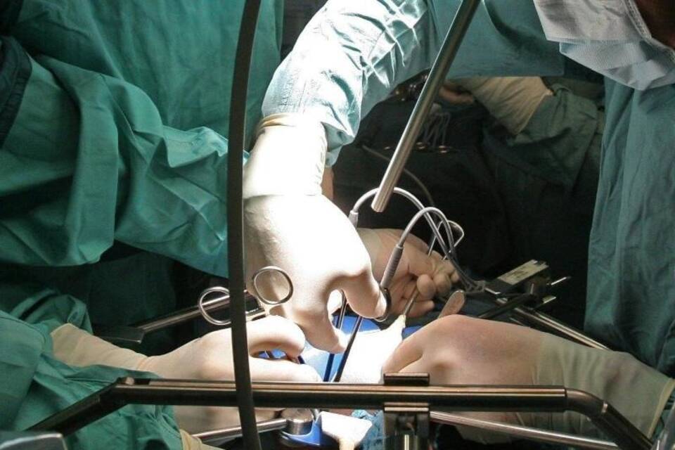 Organspende Organspende