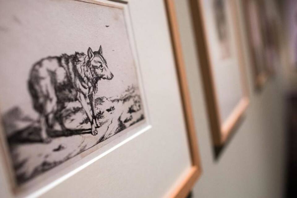 Der Wolf Der Wolf