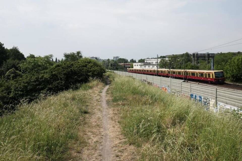 Fundort der Leiche Fundort der Leiche