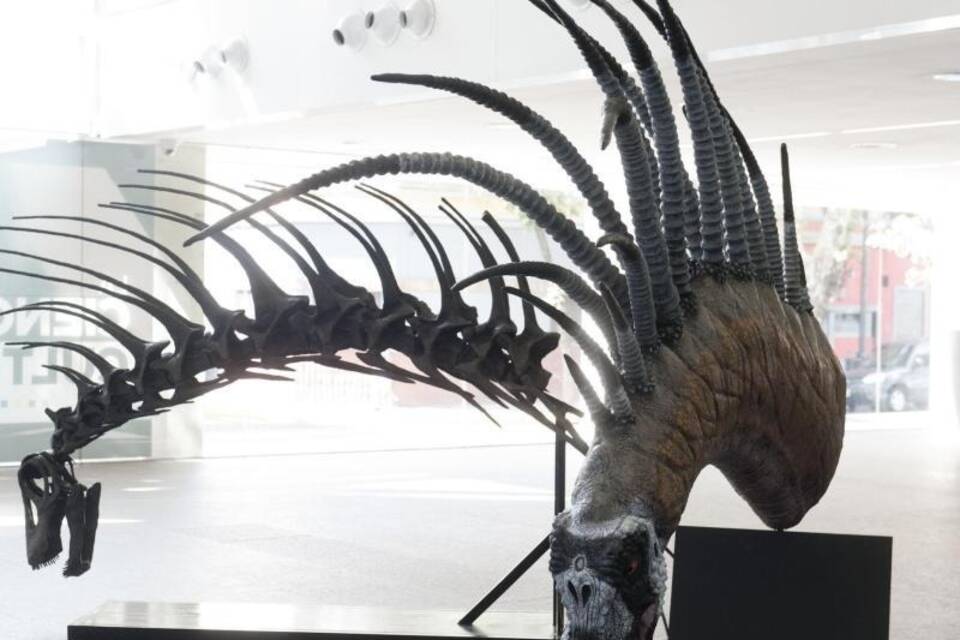 Stachel-Dino Stachel-Dino