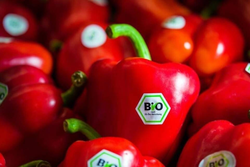 Bio Bio