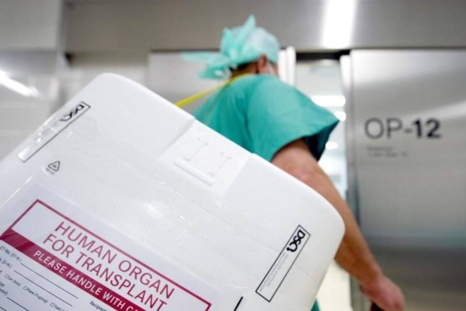 Organspende Organspende