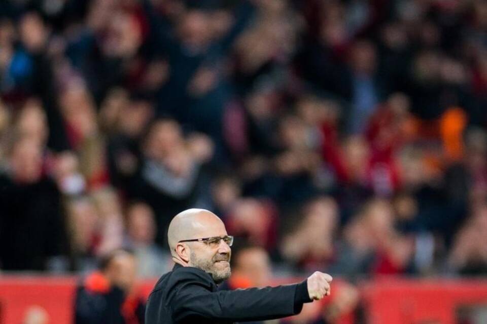 Bosz