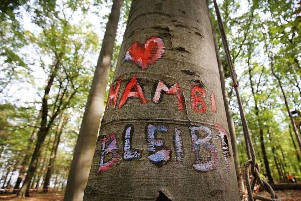 Hambacher Forst