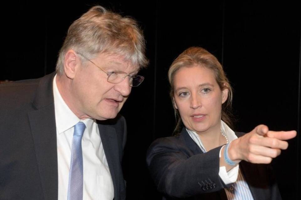 Meuthen und Weidel Meuthen und Weidel
