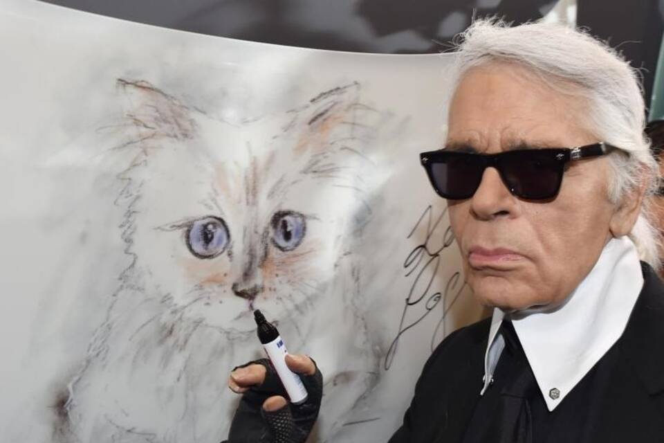 Karl Lagerfeld mit Katze Choupette Karl Lagerfeld mit Katze Choupette