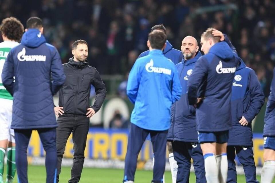 Domenico Tedesco Domenico Tedesco