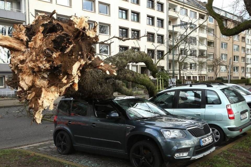 Sturmschäden Sturmschäden