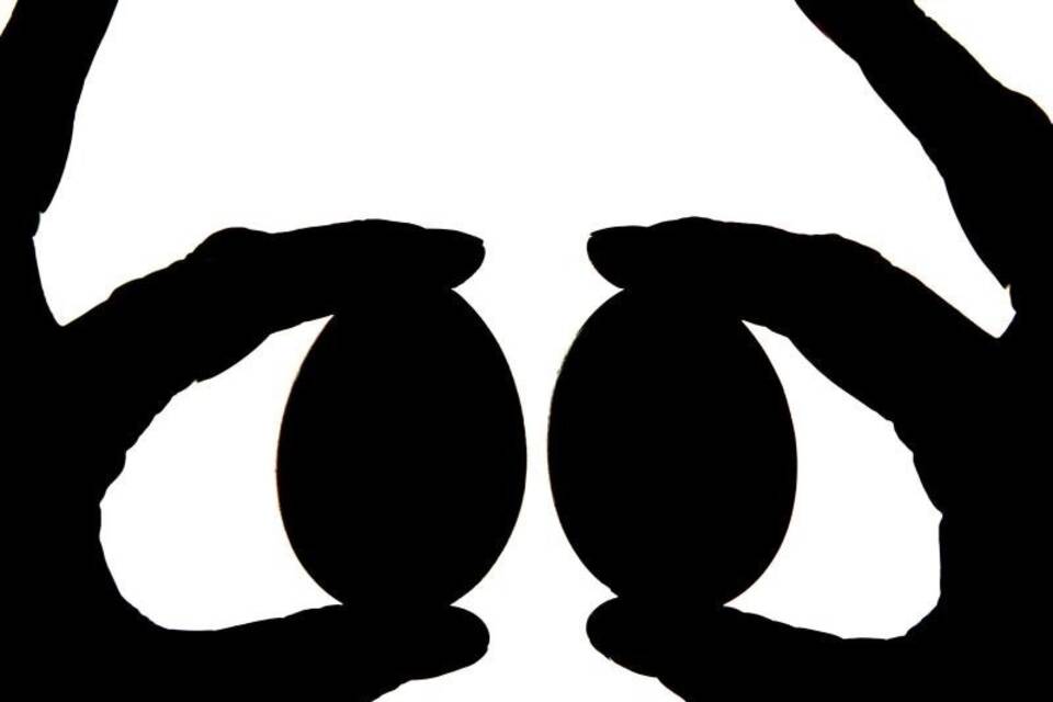 Eier Eier