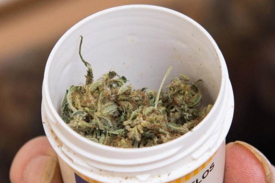 Cannabis auf Rezept Cannabis auf Rezept