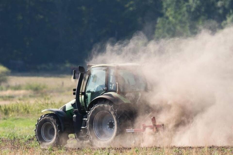 Landwirtschaft