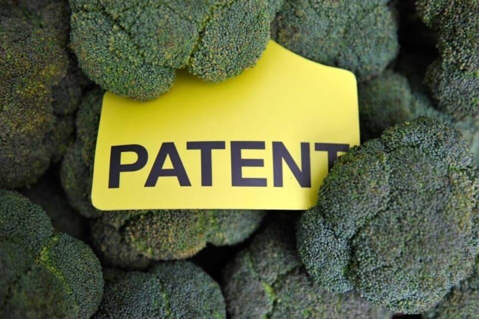 Patente auf Züchtung