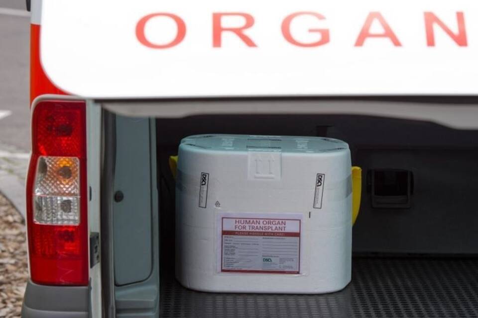 Organtransport Organtransport