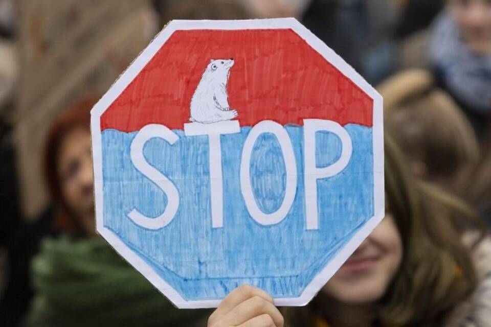 «Fridays for Future»-Demonstration in Berlin «Fridays for Future»-Demonstration in Berlin