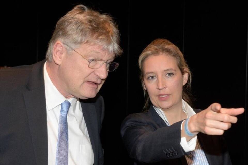 Meuthen und Weidel