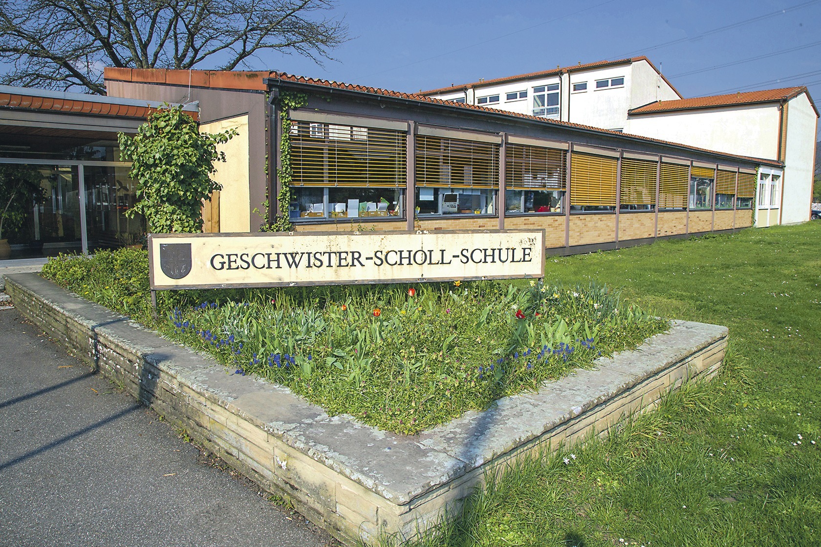 37+ schlau Foto Geschwister Scholl Haus Neuss "Gewählte