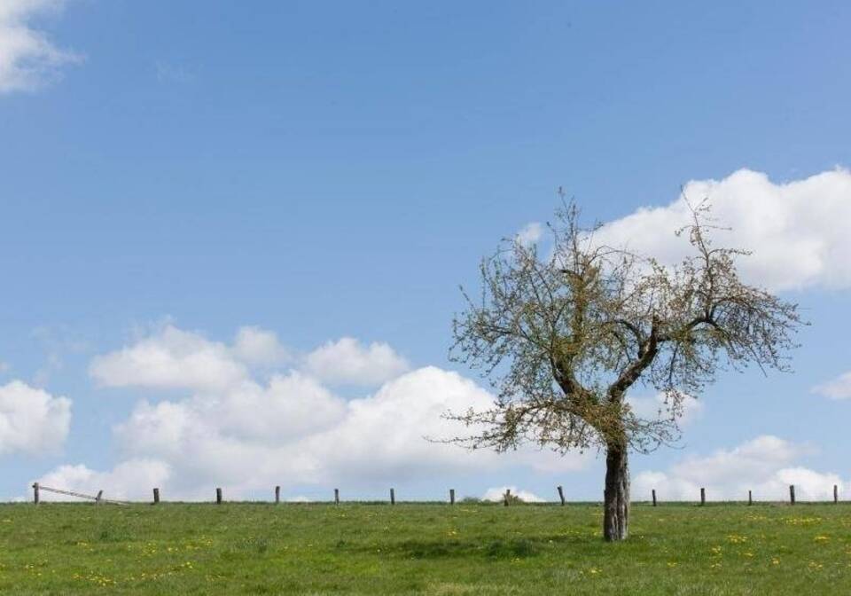 Bauer Himmel