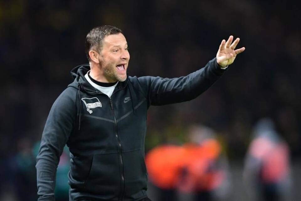 Pal Dardai Pal Dardai