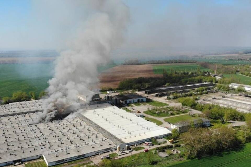 Brand in einer Schweinezuchtanlage Brand in einer Schweinezuchtanlage