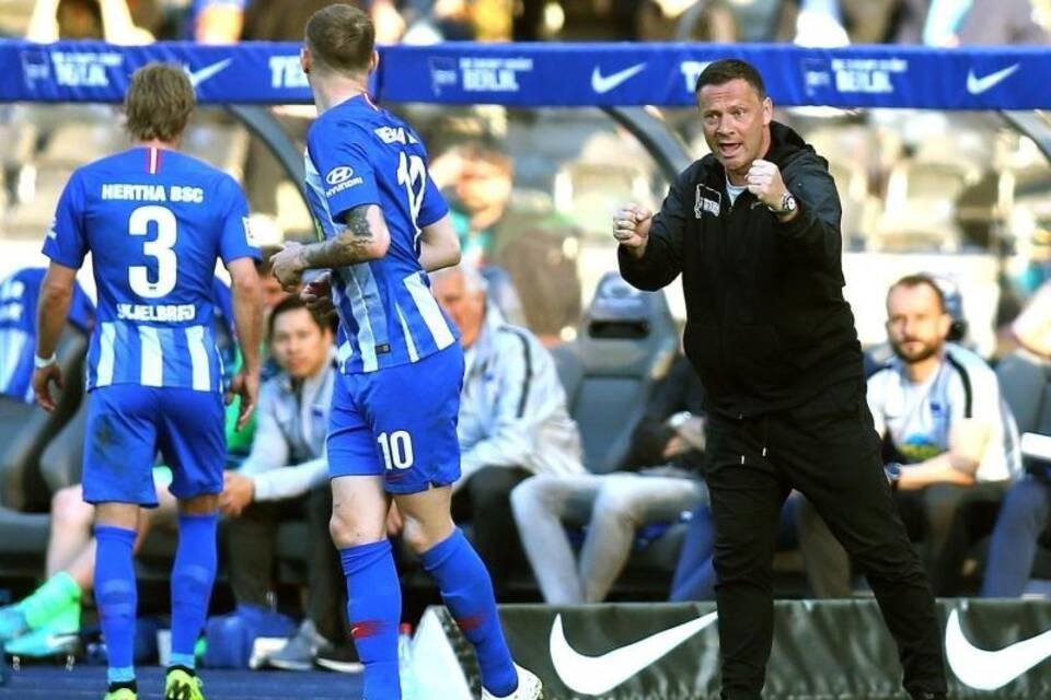 Pal Dardai Pal Dardai