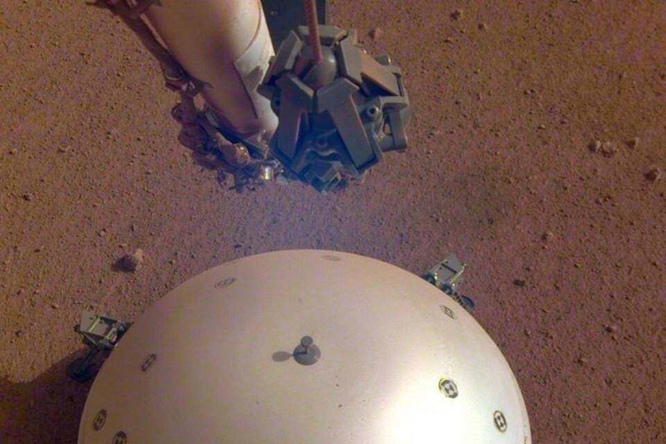«InSight» «InSight»