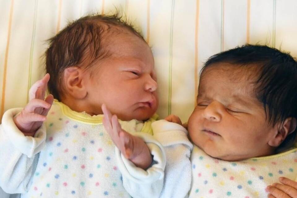 Babys Babys