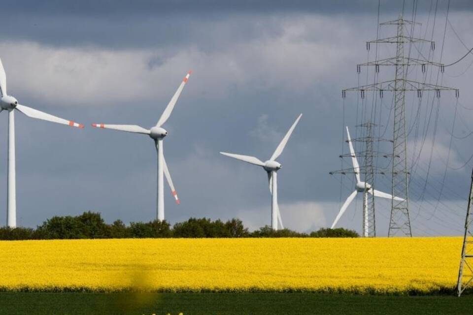 Rapsblüte in Niedersachsen