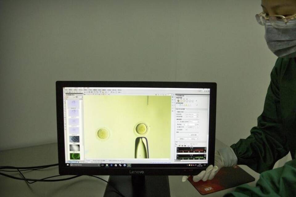 Bild mit Video von Qin Jinzhou Bild mit Video von Qin Jinzhou