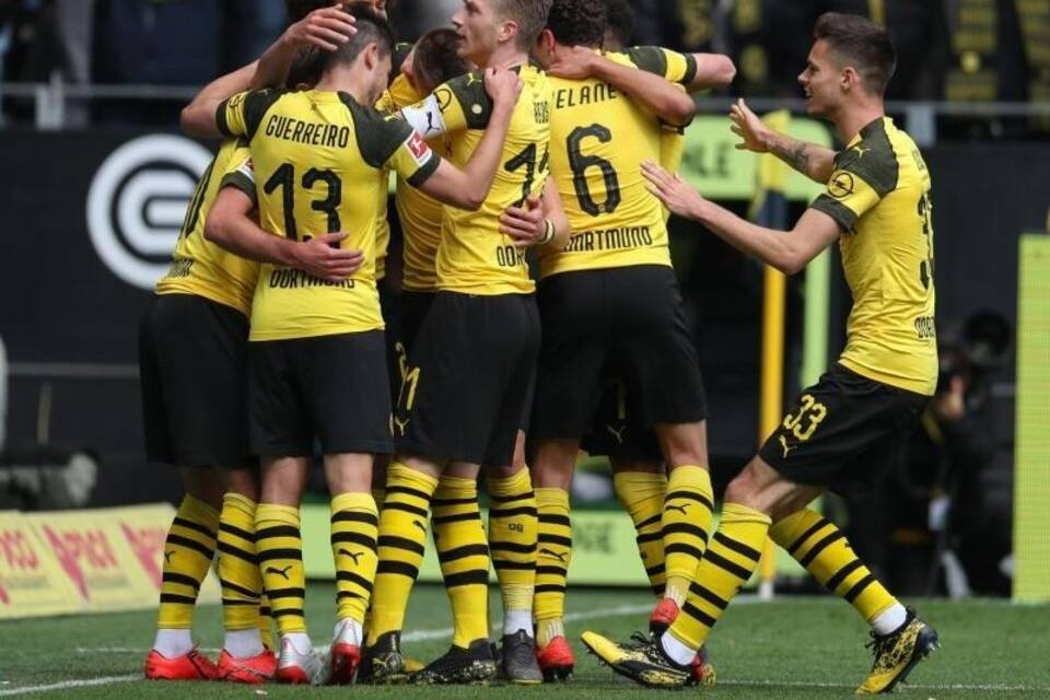 «Never give up» «Never give up»
